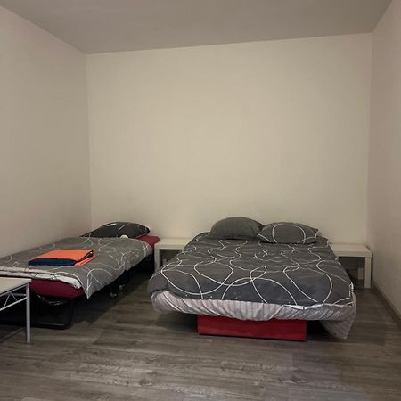 Logement Type Studio 1 Piece Proche Zenith Strasbourg Exteriör bild